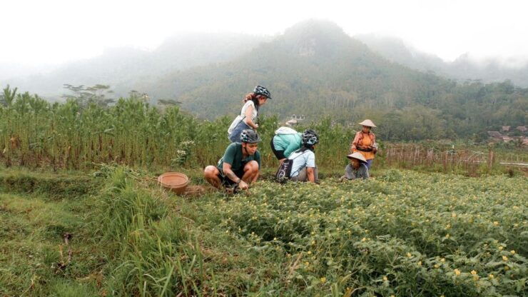Cycling Tour: Silent Story Borobudur - Highlights