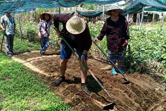 Cycling, Visiting An Organic Farm, Farming, Basket Boat Riding. - Cultural Immersion Activities