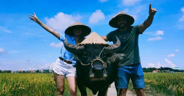 Cycling, Water Buffalo Riding, Traditional Farming Life - Good To Know