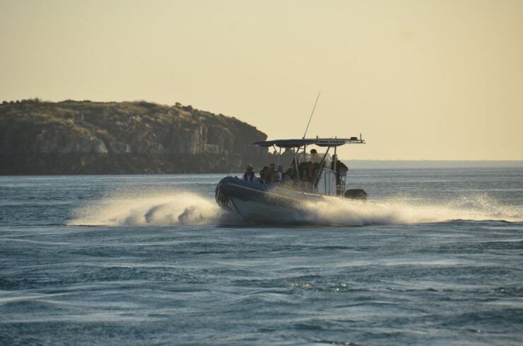 Cygnet Bay Island Explorer Scenic Cruise Experience - Inclusions