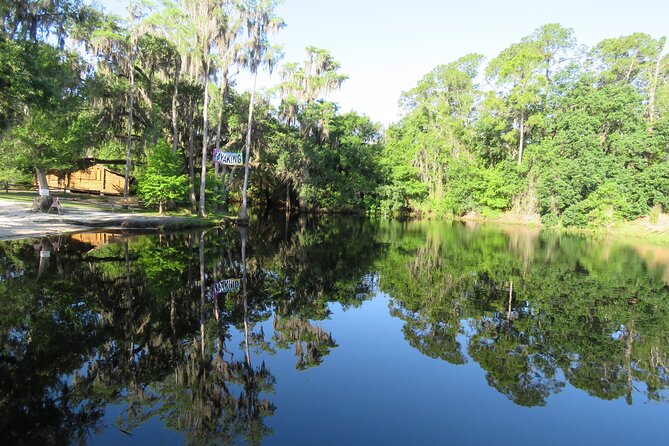 Cypress Forest Guided Kayak Nature Eco-Tour - Tour Pricing and Booking Information