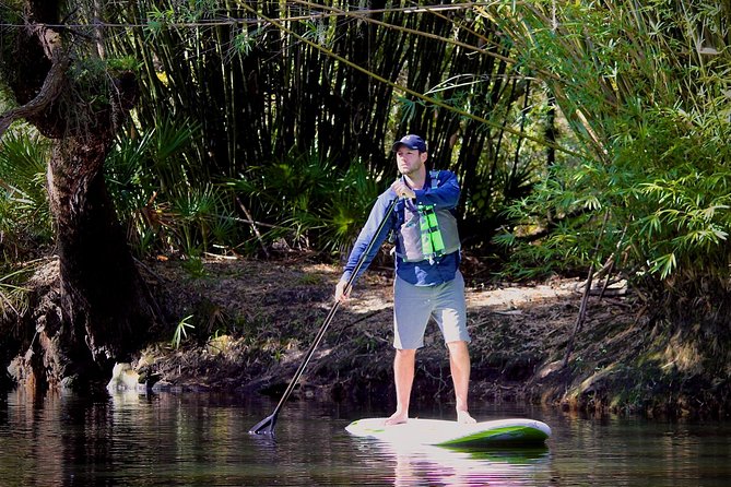 Cypress Forest Guided Kayak Nature Eco-Tour - Tour Overview and Highlights