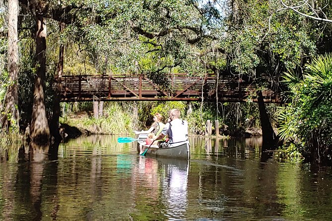 Cypress Forest Guided Kayak Nature Eco-Tour - Tour Location and Duration