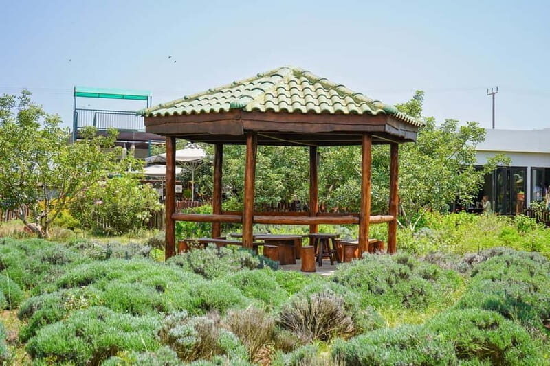 Cyprus: Herb Gardens and Maze in Cyherbia Botanical Park - Who Will Enjoy This Experience?