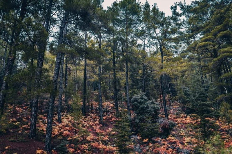 Cyprus: Photography Tour with a Professional Photographer - The Sum Up: Is This the Right Artistic Escape in Cyprus?