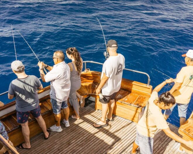 Cyprus: Relaxing Cruise at Larnaca Bay With Glass Bottom - Directions and Activities