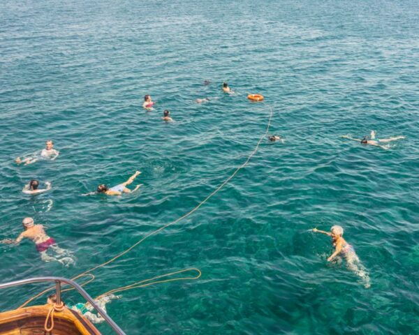 Cyprus: Relaxing Cruise at Larnaca Bay With Glass Bottom - The Sum Up