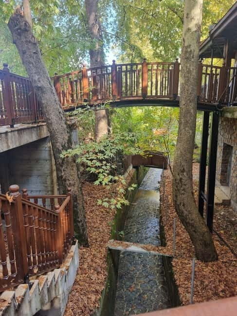 Cyprus: Troodos & Geopark or Pafos Forest & Villages Tour - The Essentials of the Tour