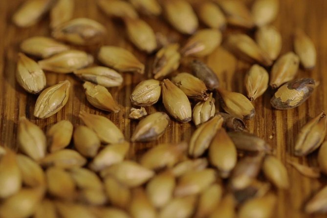 Czech Beer Tasting in Prague - Czech Beer Variety Overview