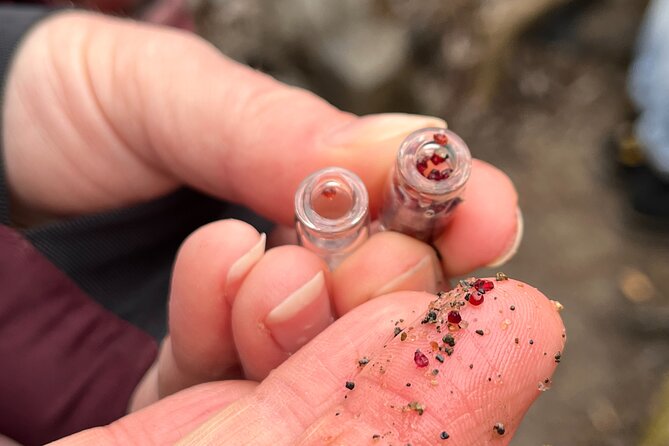 Czech Countryside Scenical Hike to the Castle, Local Deli Tasting - Booking Information