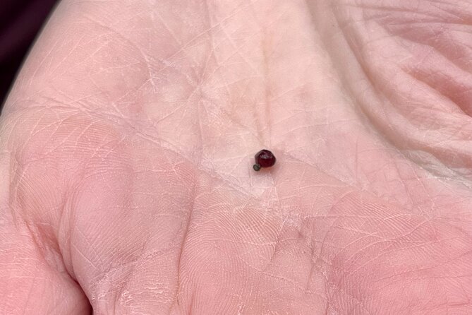 Czech Countryside Scenical Hike to the Castle, Local Deli Tasting - The Sum Up