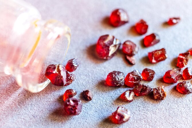 Czech Garnet Panning With Animal Farm, Lunch 4WD Trip From Prague - Local Experiences