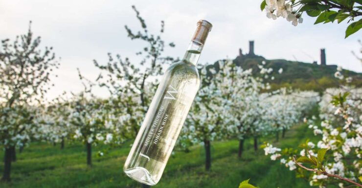 Czech Vineyards and Wine Tasting 4WD Tour With Lunch - Tour Details and Logistics