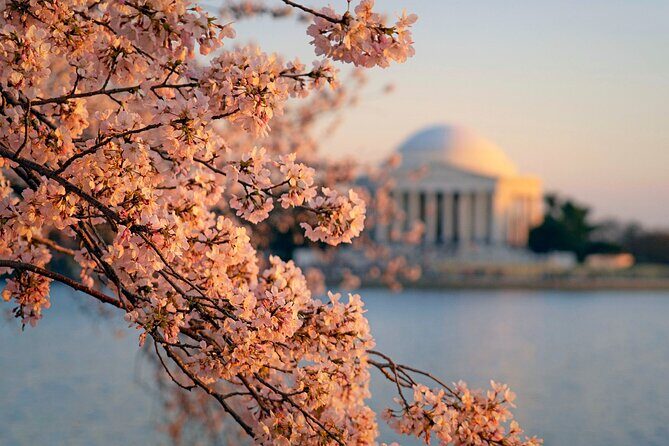 D.C. Cherry Blossom and Old Town Alexandria 2-Day Tour from NY - Good To Know