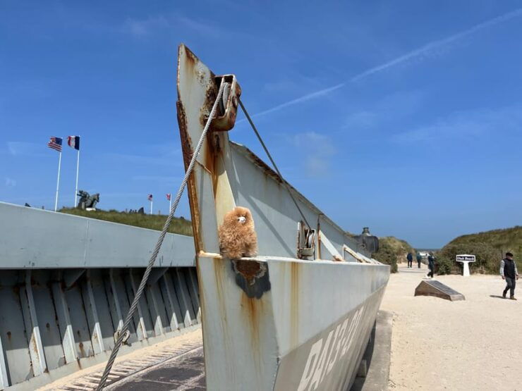 D-Day American Beaches: Omaha & Utah by Comfort Car - Key Points
