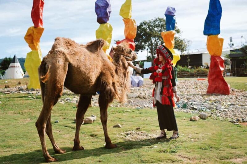 Da Lat: Alpine Coaster, Crazy House, and Mario Kart Tour - FAQs