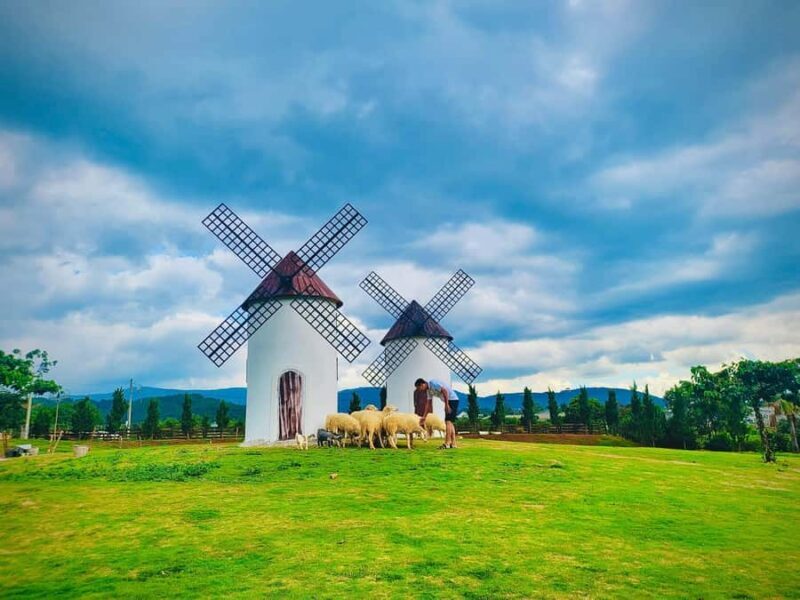 Da Lat: Alpine Coaster, Crazy House, and Mario Kart Tour - FAQs