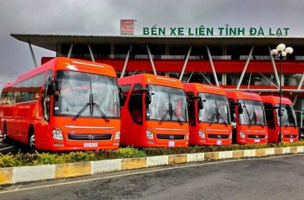 Da Lat: Bus Transfer From/To Ho Chi Minh City With FUTA Bus Lines - Meeting Points for Travelers