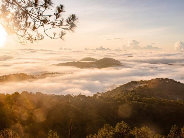 Da Lat: Chasing the Sunrise - A Mini Trek Adventure - Good To Know