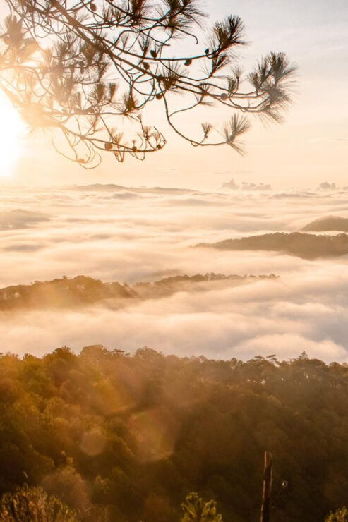 Da Lat: Chasing the Sunrise - A Mini Trek Adventure - Detailed Itinerary