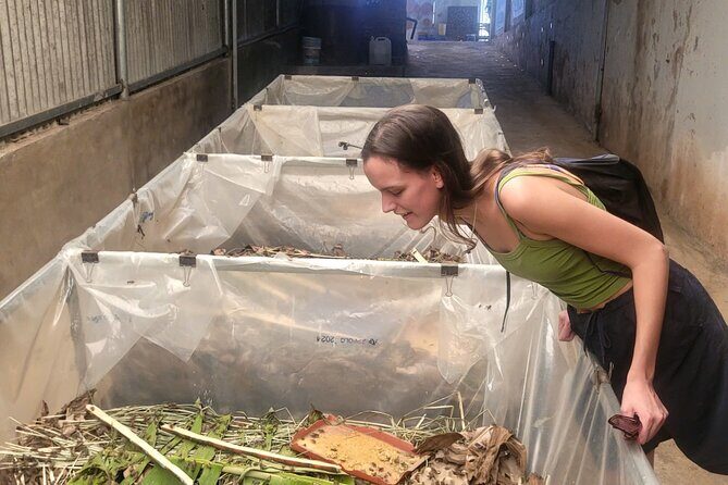 Da Lat City Sightseeing 2 Days Private Tour From Ho Chi Minh City - Who This Tour Is Perfect For