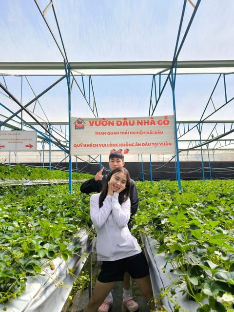 Da Lat City Tour: Langbian - Datanla Waterfall - Crazy House - Datanla Waterfall Adventure