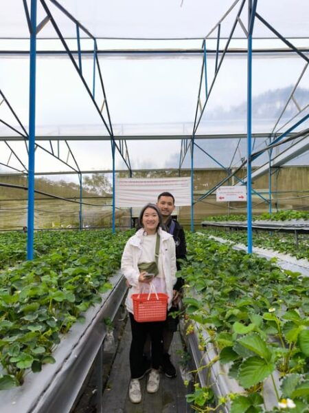 Da Lat City Tour: Langbian - Datanla Waterfall - Crazy House - Important Information and Recommendations