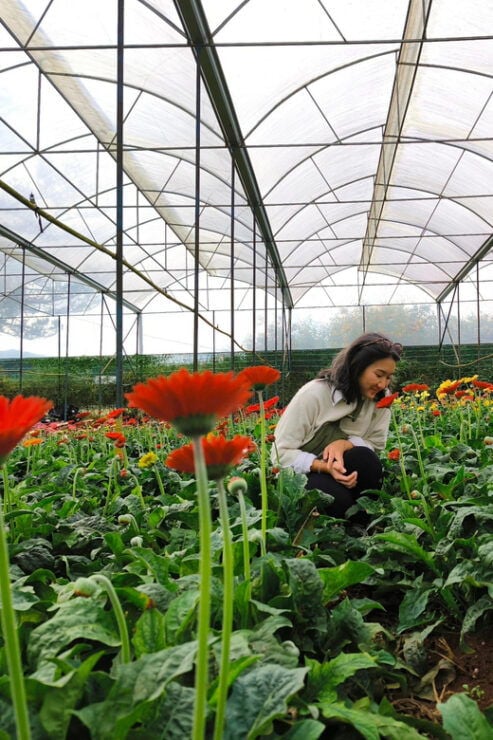 Da Lat : COFFEE CLASS AND DALAT OUTSKIRT TOUR - Coffee Experience
