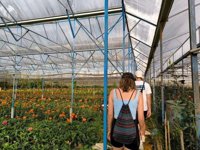 Da Lat : COFFEE CLASS AND DALAT OUTSKIRT TOUR - What to Expect