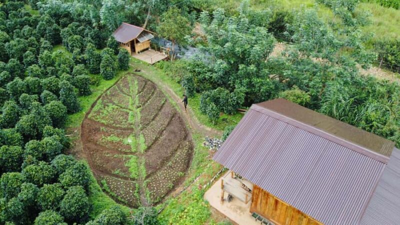 Da Lat: Coffee Roasting Workshop - Roast & Brew Your Own - Good To Know