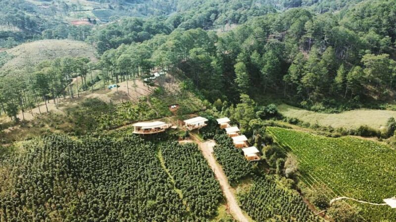 Da Lat: Coffee Roasting Workshop - Roast & Brew Your Own - Practical Details and Logistics
