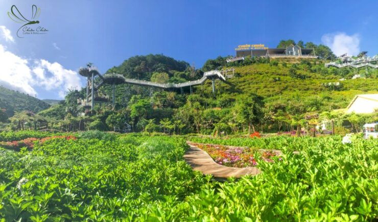 Da Lat: Countryside Chuon Chuon Bistro Entry Ticket - Good To Know