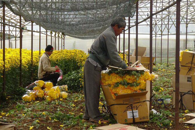 Da Lat Countryside: Nature & Culture Tour by Car - Additional Information