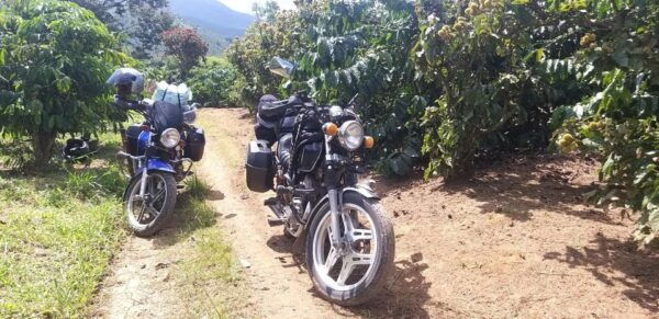 Da Lat Countryside Tour: Serene Escapes in the Outskirts - Experience Coffee Farm