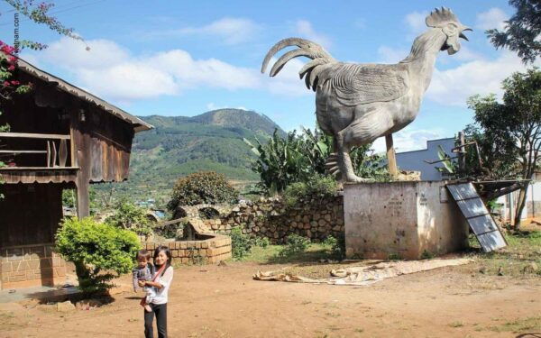 Da Lat Countryside Tour: Serene Escapes in the Outskirts - Unravel Van Thanh Flower Village