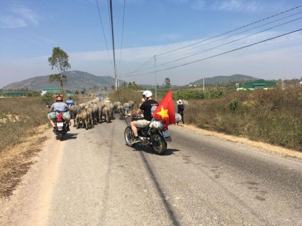 Da Lat Countryside Tour: Serene Escapes in the Outskirts - Common Questions