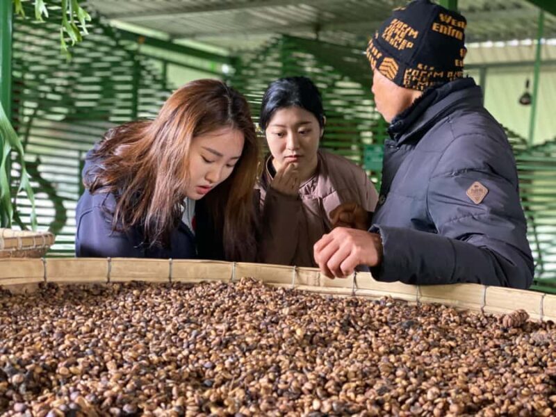 Da Lat: Countryside Tour with Mario-Kart Ride and Mongo Land - The Experience in Detail