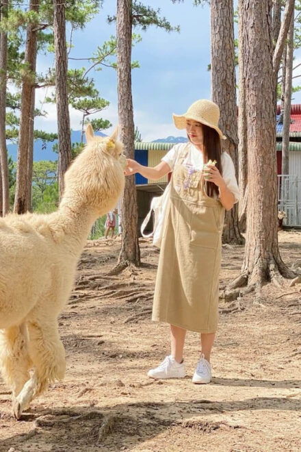 Da Lat: Dalat Wonderland Theme Park Ticket - Operating Hours and Accessibility