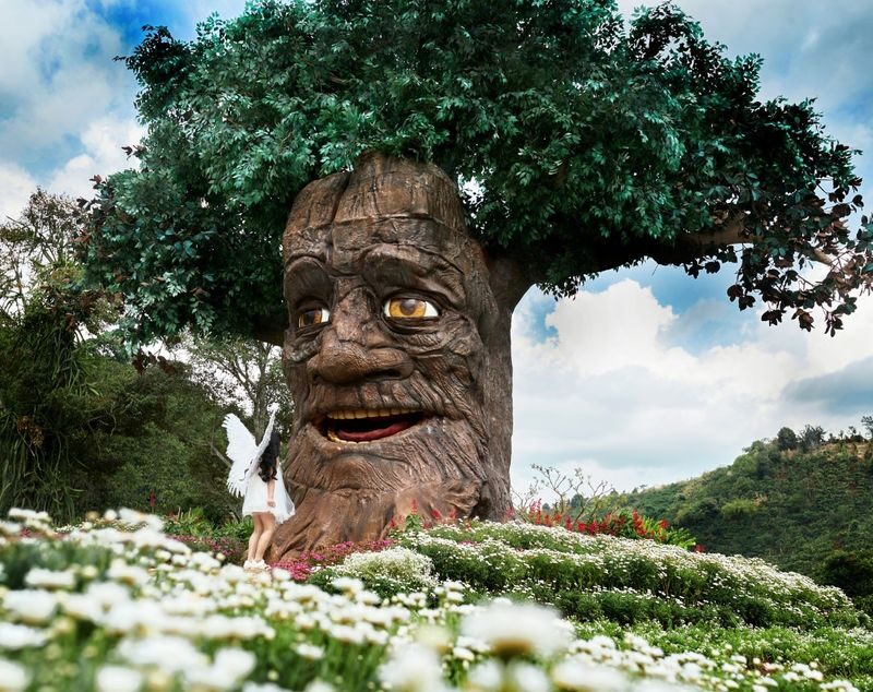 Da Lat Day Tour: Discovering New Tourist Attractions - The useful details at a glance