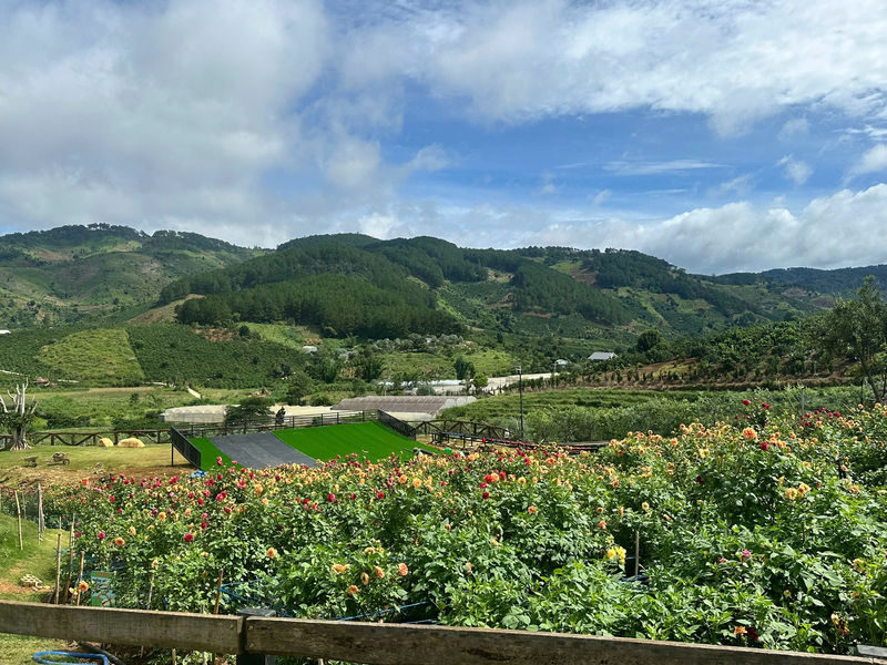 Da Lat Day Tour To: Go Kart, Mongo Land & Flower Highland - A day built around contrast