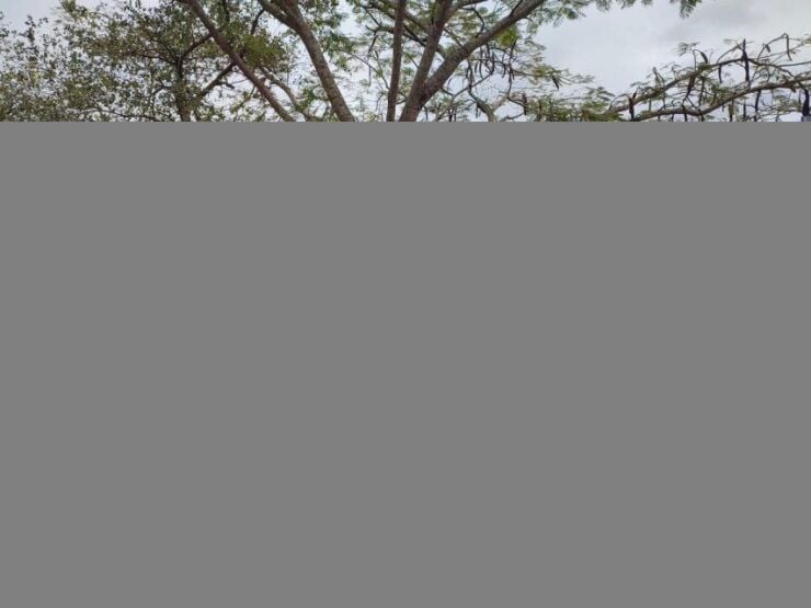 Da Lat: Explore Countryside Half Day Tour by Motorbike Ride - Itinerary Stops