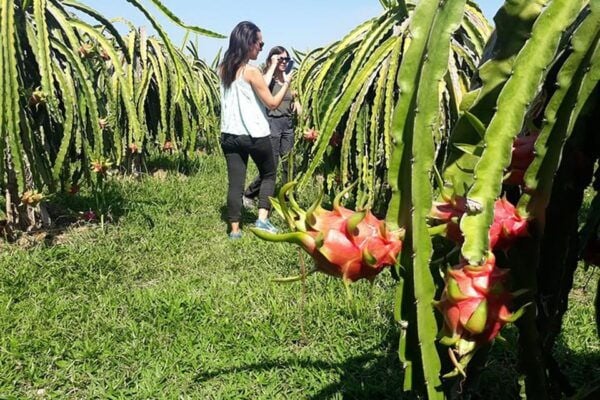 Da Lat Exploring Private Tour On Motorbike - Customer Reviews