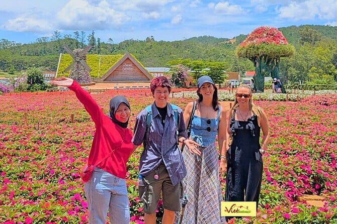 Da Lat: Half-Day Morning - Clay Tunnel, Crazy House, Datanla Fall - Who Would Love This Tour?