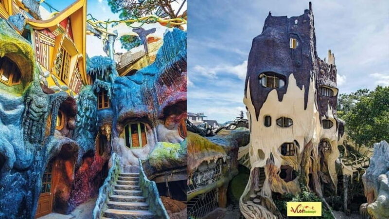 Da Lat: Half-Day Morning Datanla + Clay Tunnel + Crazy House - Authenticity and Fun