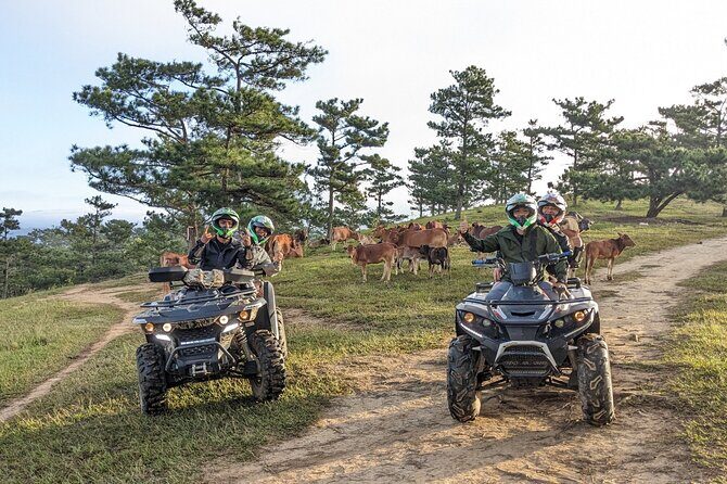 Da Lat Highland Adventure and ATV Scenic Trails Exploration - An Overview of the Tour Experience