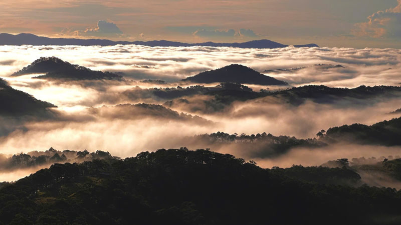 Da Lat Hon Bo Peak Sunrise Trekking Tour with Coffee - Guides who help with the climb and the camera