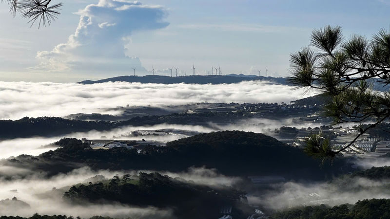 Da Lat Hon Bo Peak Sunrise Trekking Tour with Coffee - Coffee, pho, and a breakfast that earns its place