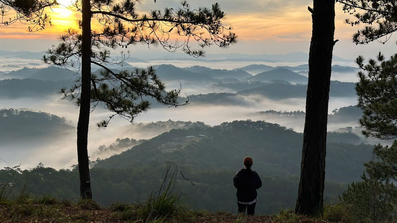 Da Lat Hon Bo Peak Sunrise Trekking Tour with Coffee - Is the price worth an early alarm?