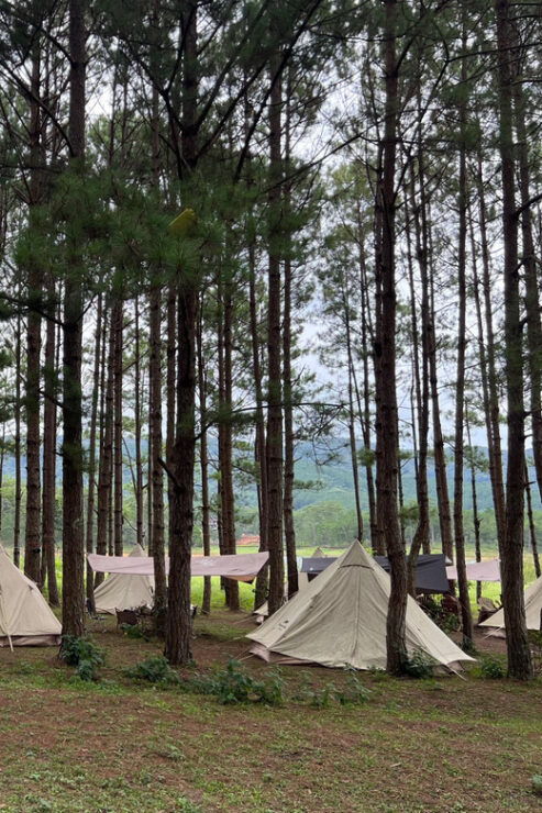Da Lat Lake Discovery: Kayaking and Camping Adventure - Overview of the Adventure