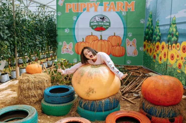 Da Lat: Puppy Farm Ticket - Good To Know
